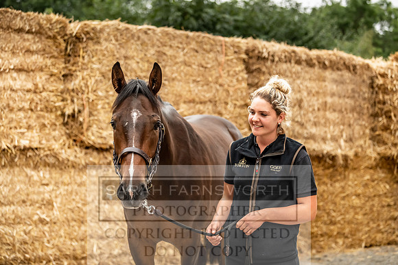 GUK Yorton Sale 2019-160