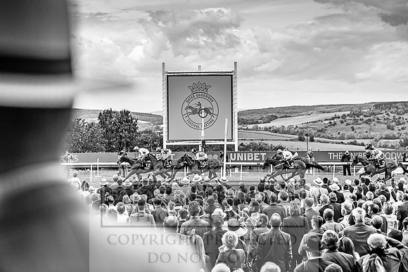 GUK Goodwood Sale 2019-14