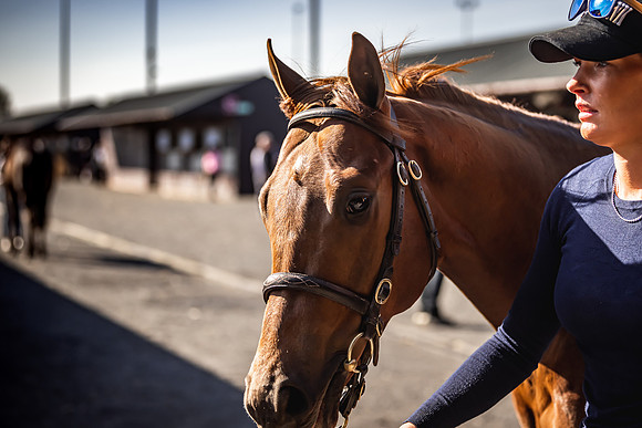 Goffs UK Breeze Up 2022-119
