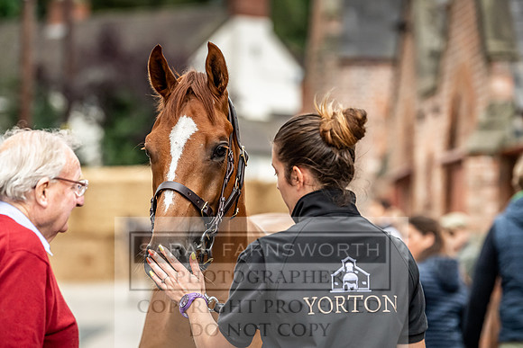 GUK Yorton Sale 2019-178