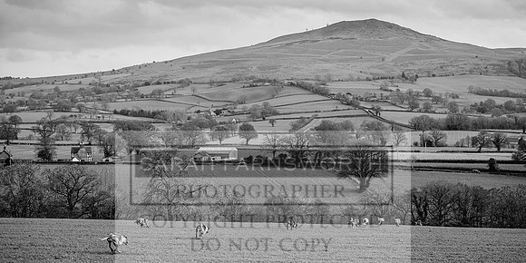 Ludlow 261215-458 bw