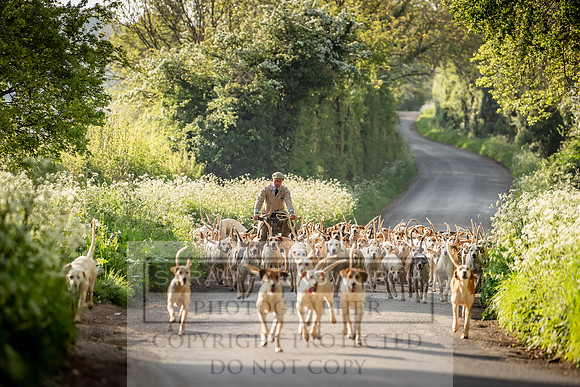 Heythrop Kennels-19