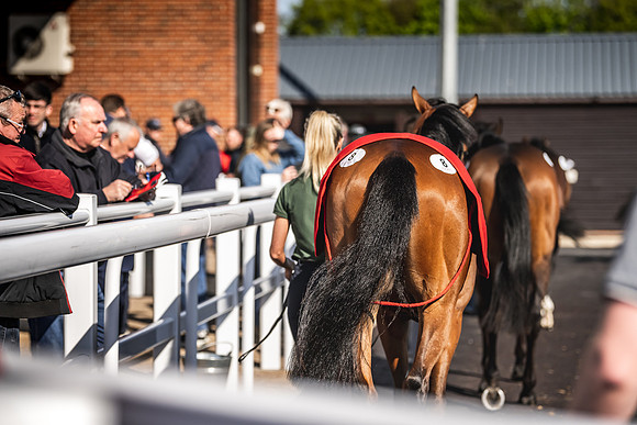 Goffs UK Breeze Up 2022-155