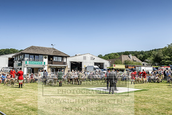 Builth Hound Show 2019-72