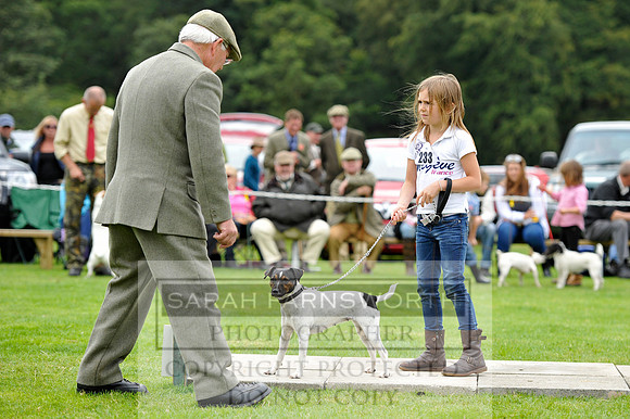 Rydal 2014 CF2 735