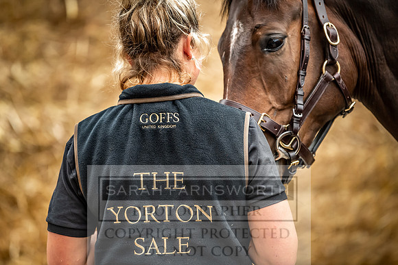GUK Yorton Sale 2019-159
