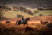 Exmoor Autumn 2020-6