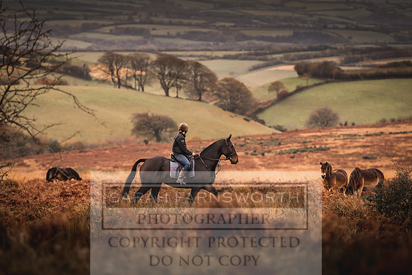 Exmoor Autumn 2020-6