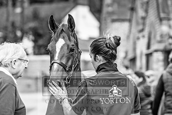 GUK Yorton Sale 2019-177