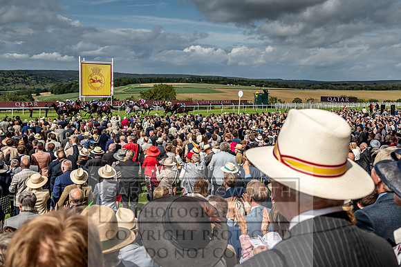 GUK Goodwood Sale 2019-158