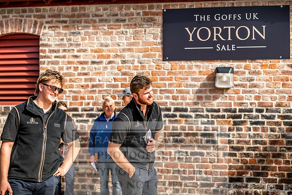 GUK Yorton Sale 2019-396