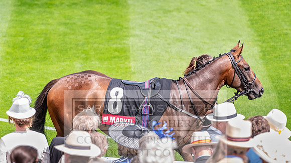 GUK Goodwood Sale 2019-6