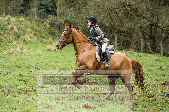 Ludlow 261215-314