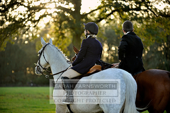 Brocklesby 021113 CF3 1362