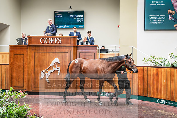 Goffs UK PY24-103