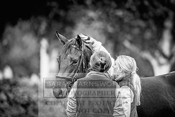 Goffs Orby 2022 Day 1-23