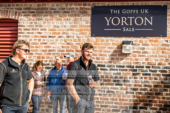 GUK Yorton Sale 2019-395
