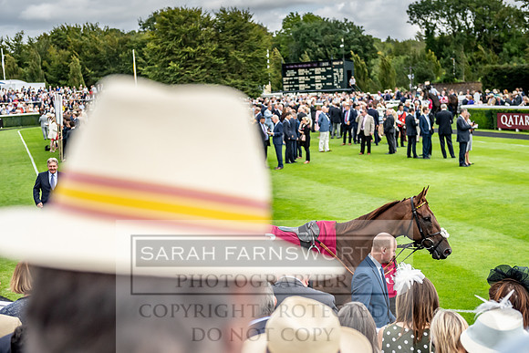GUK Goodwood Sale 2019-134
