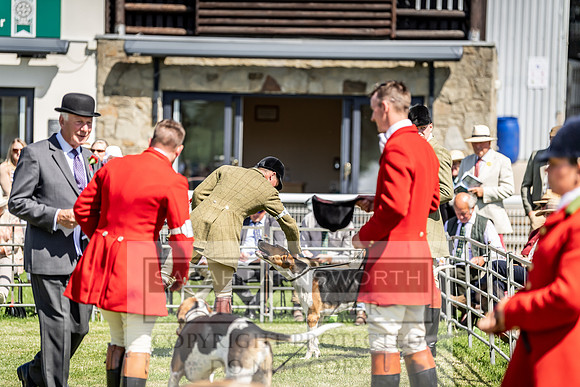 Builth Hound Show 2019-48