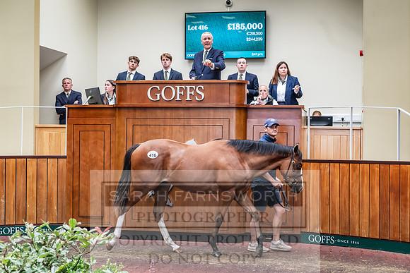Goffs UK PY24-535