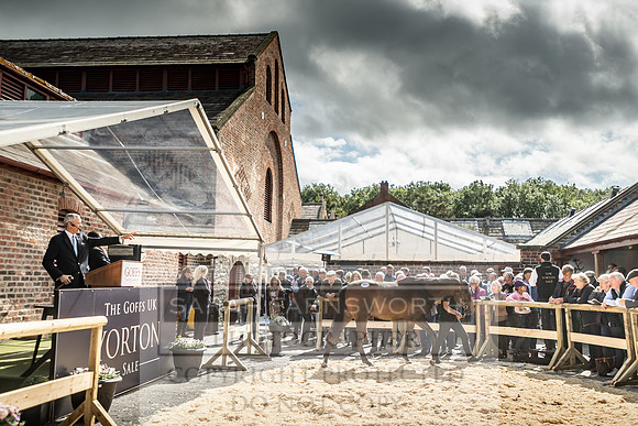 GUK Yorton Sale 2019-366