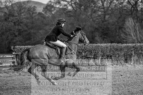 Ludlow 261215-479 bw