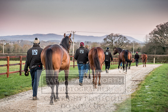 Tweenhills January 2019-38
