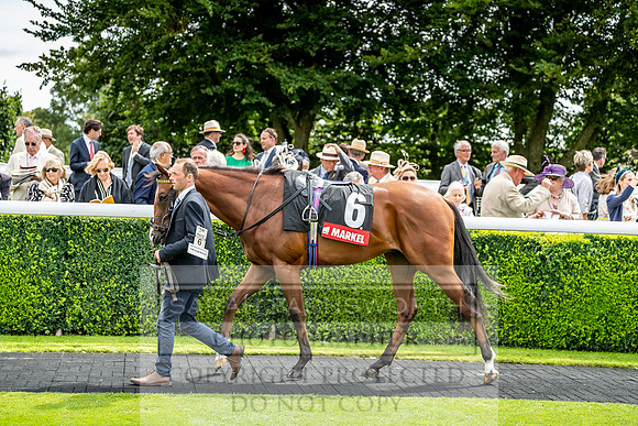 GUK Goodwood Sale 2019-88