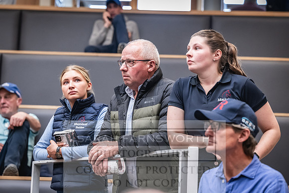 Goffs UK PY24-584