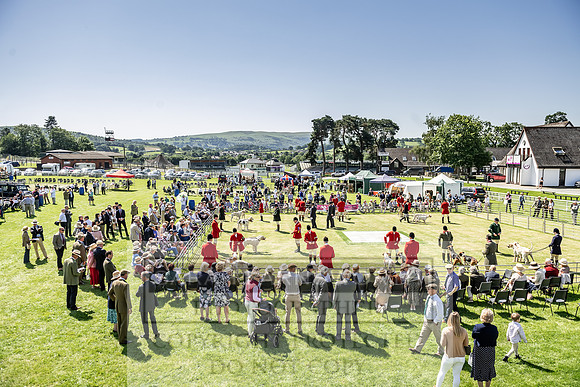 Builth Hound Show 2019-63