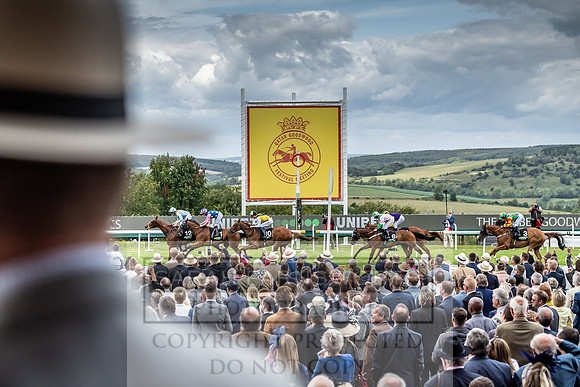 GUK Goodwood Sale 2019-16