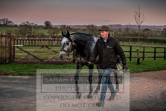 Tweenhills January 2019-43