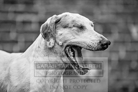 Ledbury 090318-640