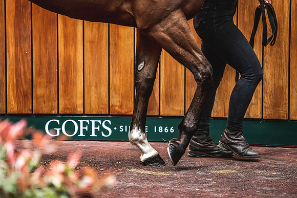 Goffs UK Breeze Up 2022-213