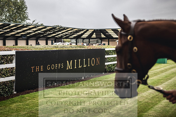 Goffs Orby 2022 Day 1-84