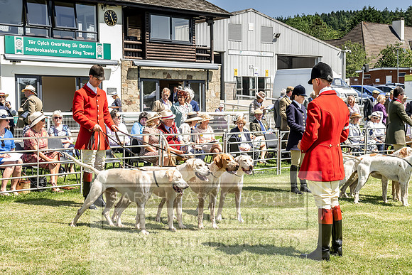 Builth Hound Show 2019-73