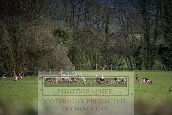 Ludlow 261215-519