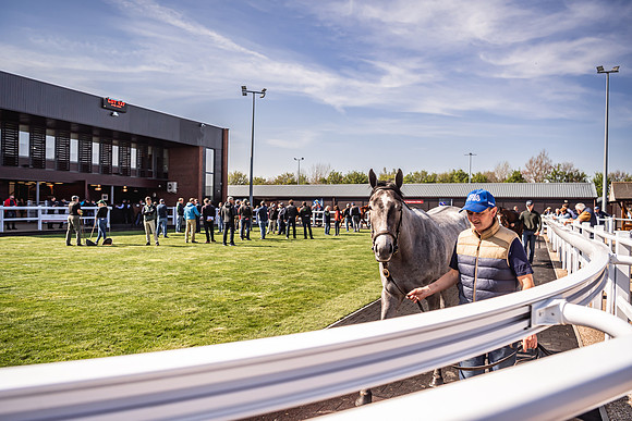 Goffs UK Breeze Up 2022-358