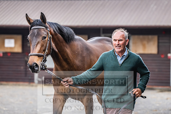 Goffs UK Spring Sale 2024-189