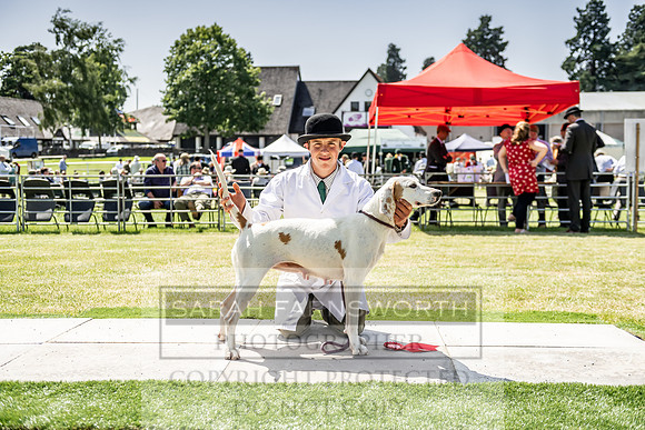 Builth Hound Show 2019-159