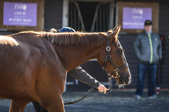Goffs UK Breeze Up 2022-69