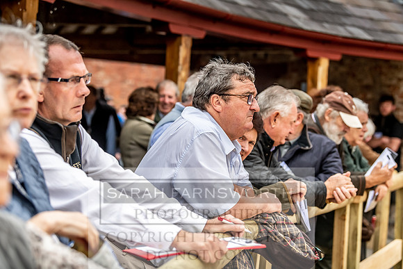 GUK Yorton Sale 2019-276