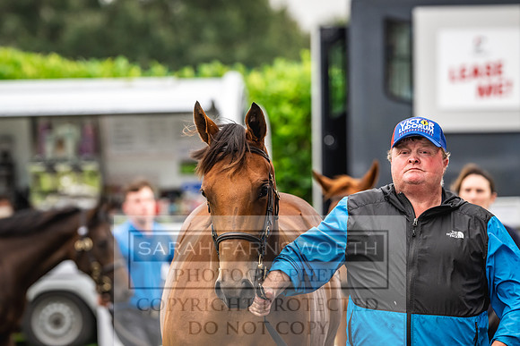 Goffs UK PY24-551