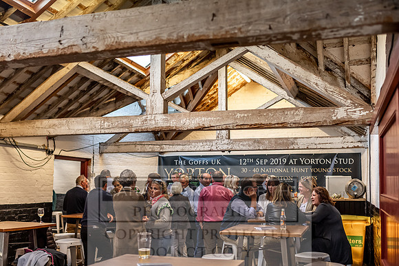 GUK Yorton Sale 2019-14