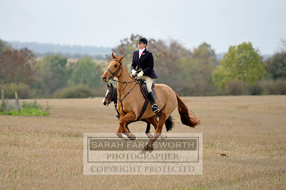 Brocklesby 021113 CF3 759
