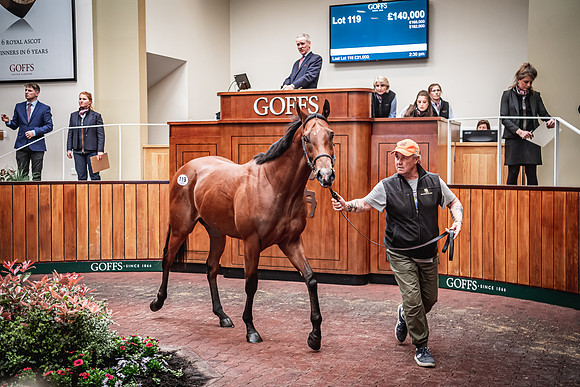 Goffs UK Breeze Up 2022-353