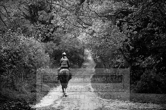 Autumn Snow 024 bw