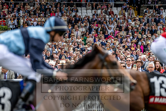 GUK Goodwood Sale 2019-101