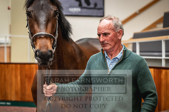 Goffs UK Spring Sale 2024-190
