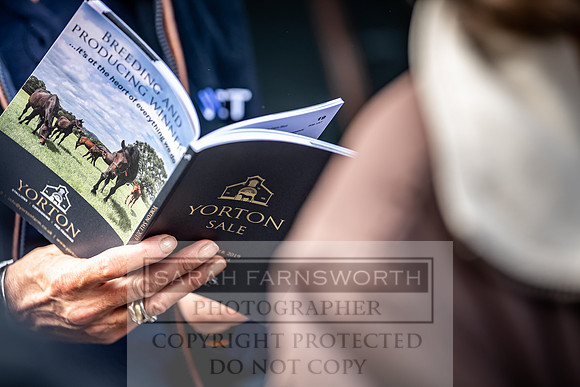 GUK Yorton Sale 2019-348